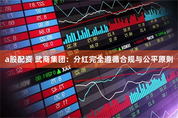 a股配资 武商集团：分红完全遵循合规与公平原则