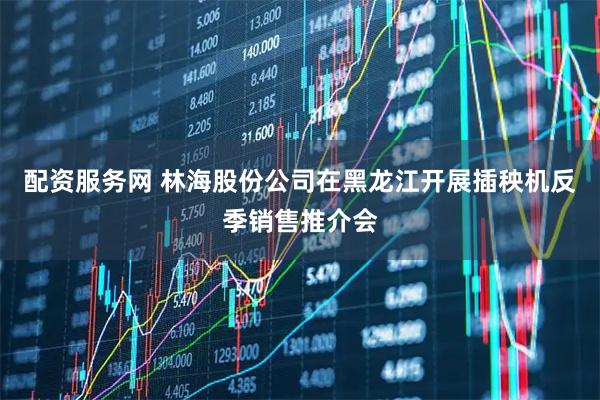 配资服务网 林海股份公司在黑龙江开展插秧机反季销售推介会