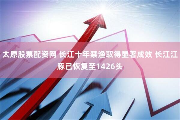 太原股票配资网 长江十年禁渔取得显著成效 长江江豚已恢复至1426头