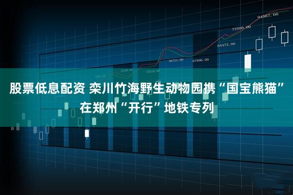 股票低息配资 栾川竹海野生动物园携“国宝熊猫”在郑州“开行”地铁专列