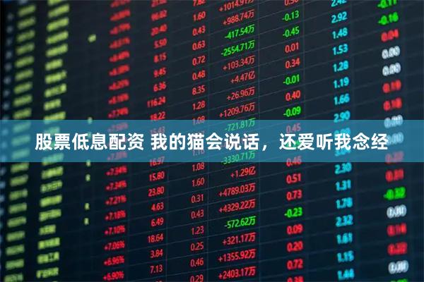 股票低息配资 我的猫会说话，还爱听我念经