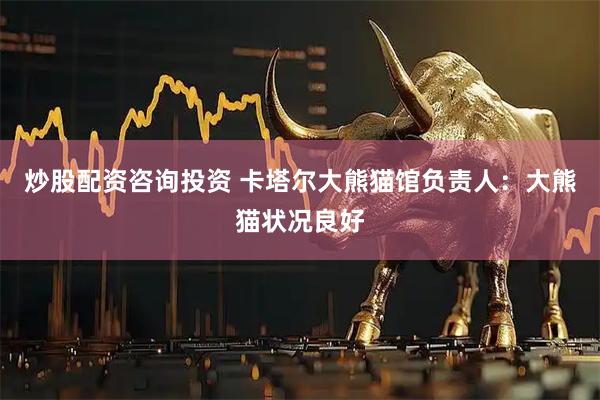 炒股配资咨询投资 卡塔尔大熊猫馆负责人：大熊猫状况良好